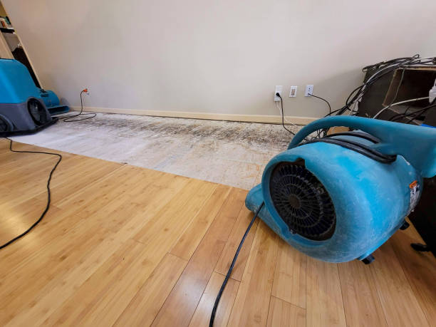 Professional Water Damage Repair technician working in Largo, MD